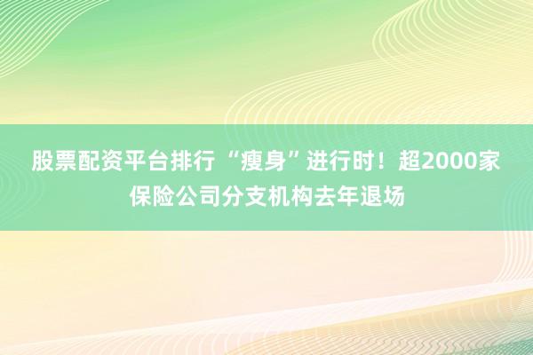 股票配资平台排行 “瘦身”进行时！超2000家保险公司分支机构去年退场