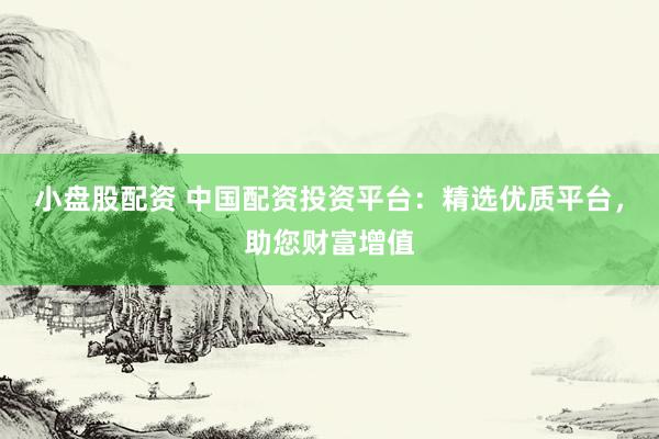 小盘股配资 中国配资投资平台：精选优质平台，助您财富增值