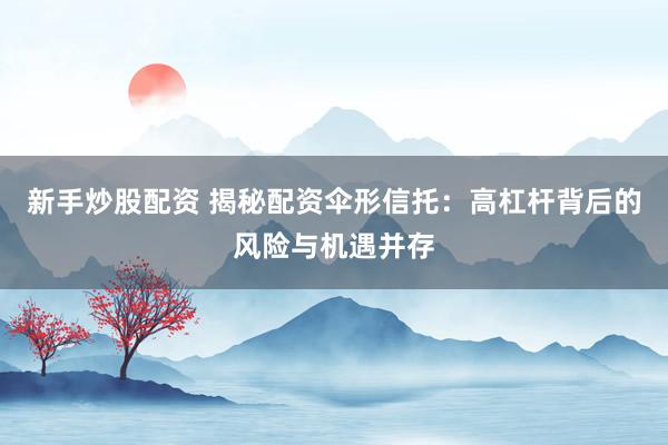 新手炒股配资 揭秘配资伞形信托：高杠杆背后的风险与机遇并存